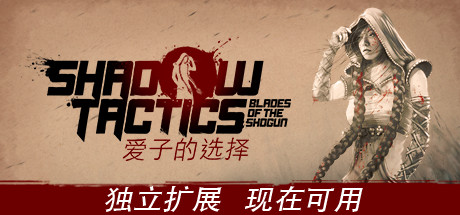 影子战术将军之刃爱子的选择